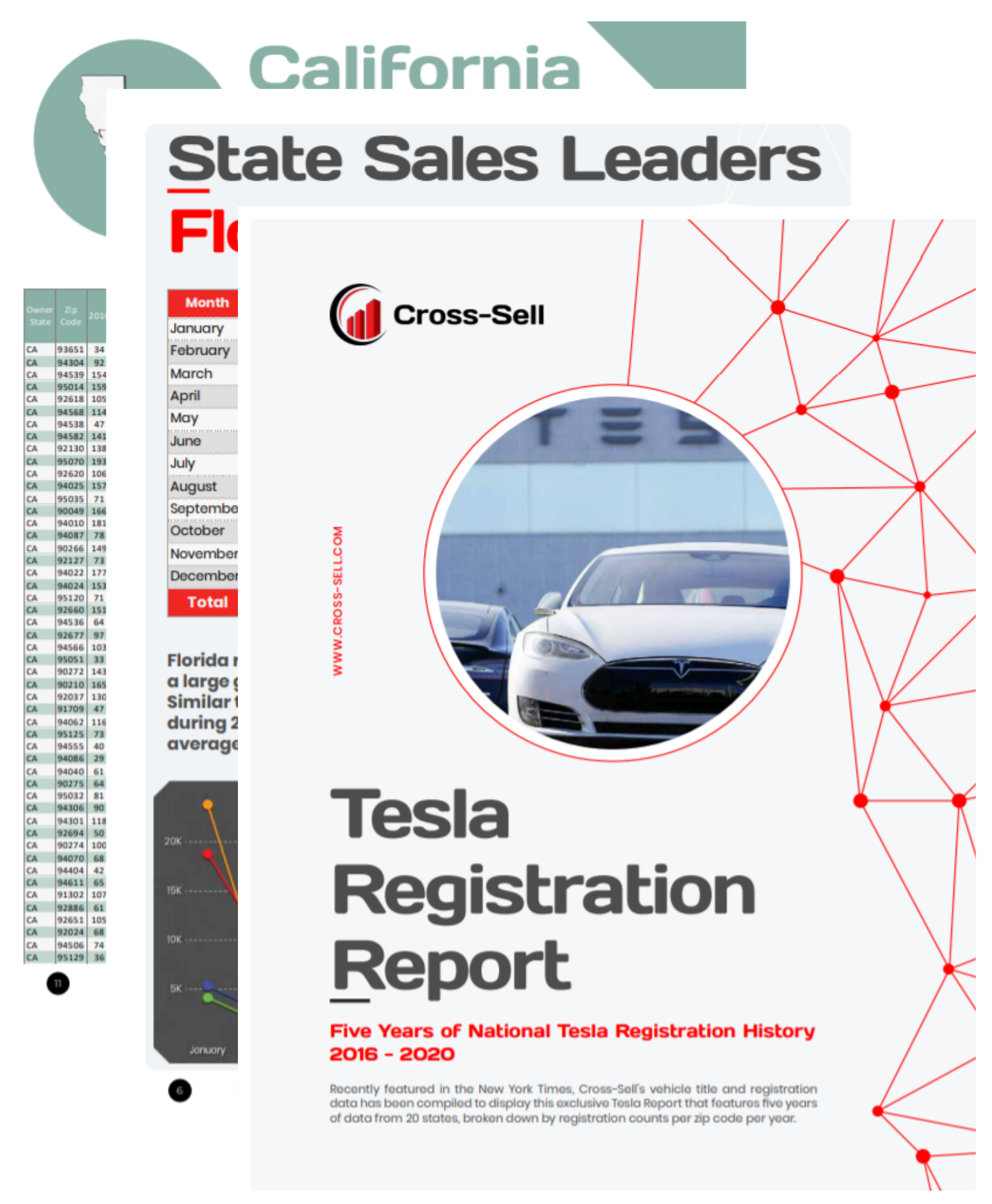 Tesla Report Image (1)